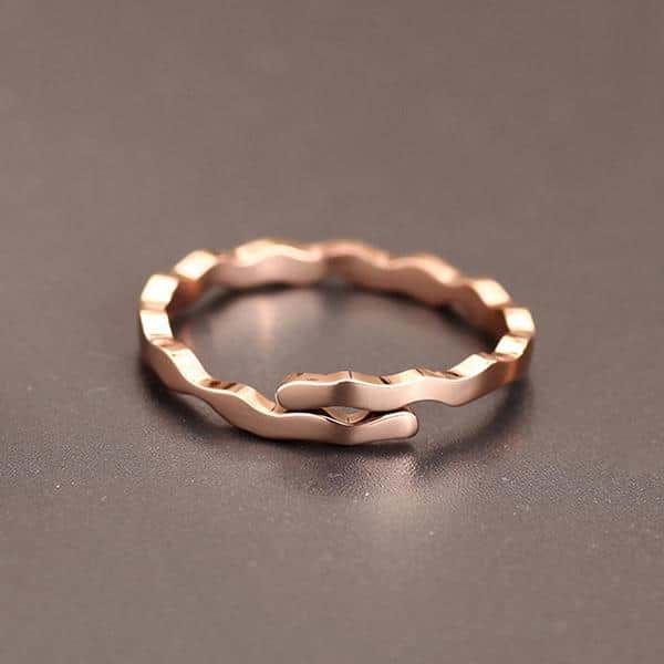 Lucky Zodiac Ring