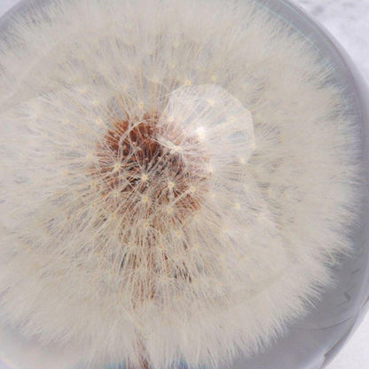 Dandelion Crystal Glass Ball