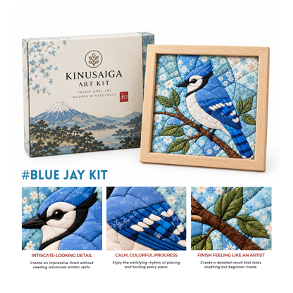 Traditional Japanese Kinusaiga Art Kit