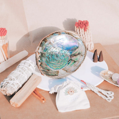 Open Green Abalone Shell
