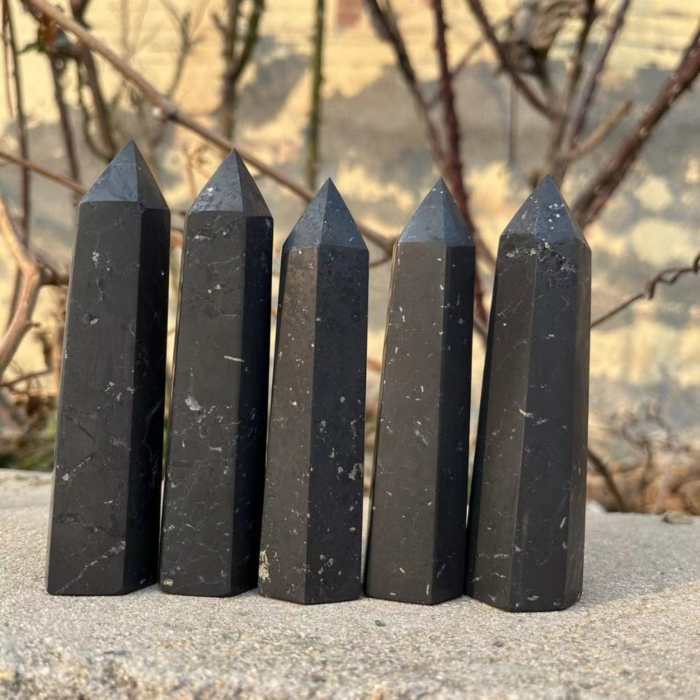 Shungite Crystal Stone Point