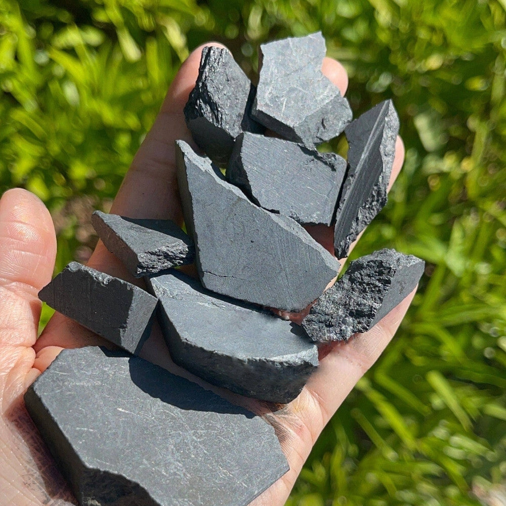 Raw Shungite Stones