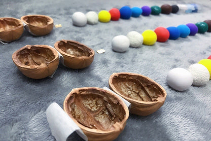 Handmade.Walnut Shell Doll House--Mini Library, Tiny World Inside Walnuts
