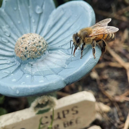 AC™ Garden Bee Water Feeder💧
