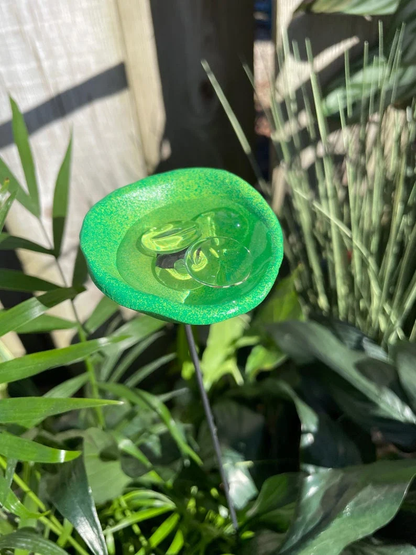 Bee Watering Station, Butterfly Puddler, Hummingbird Drinking Cups