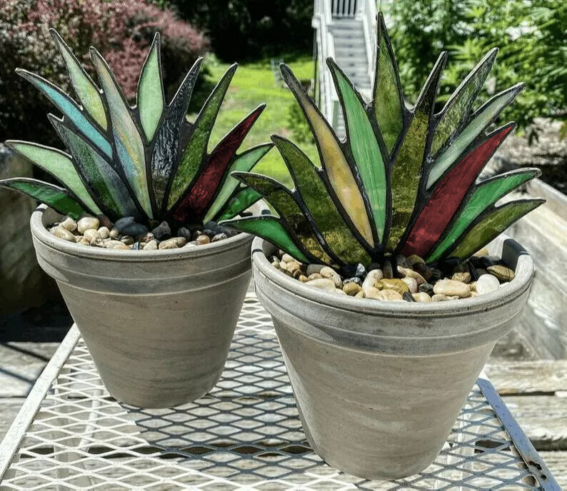 SUNCATCHER STAINED AGAVE PLANTE