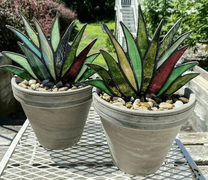 SUNCATCHER STAINED AGAVE PLANTE