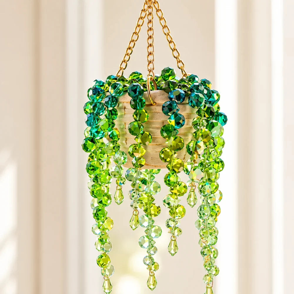 Lunas Sun Catcher™️