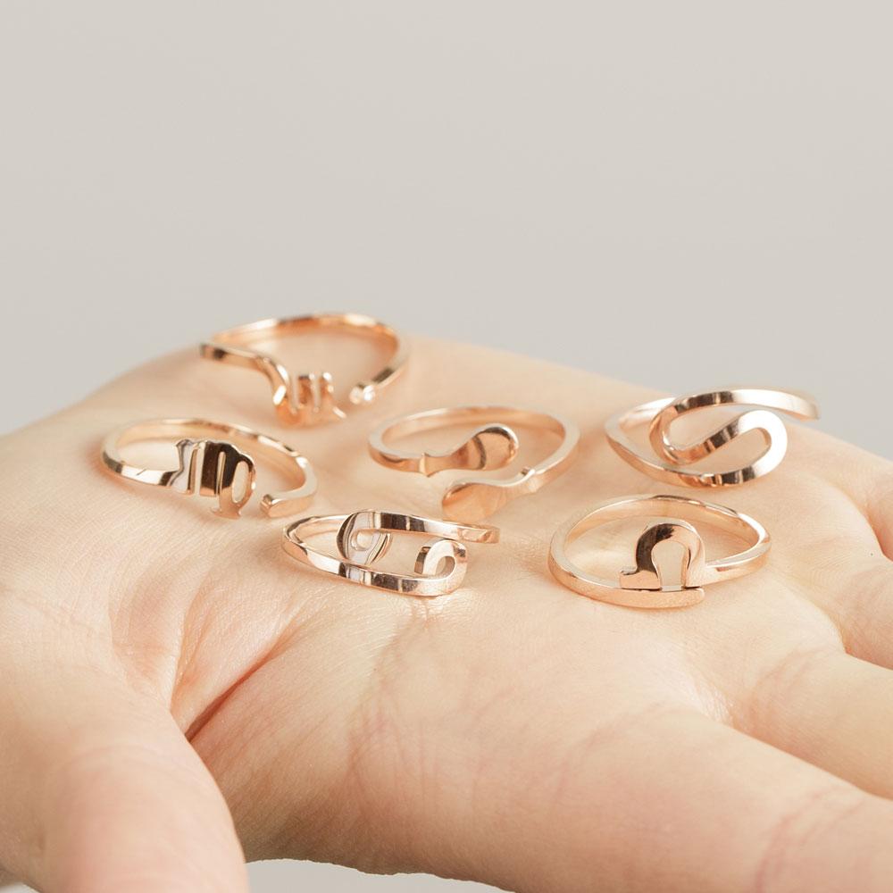Lucky Zodiac Ring
