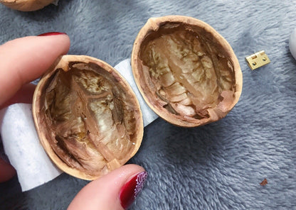 Handmade.Walnut Shell Doll House--Mini Library, Tiny World Inside Walnuts