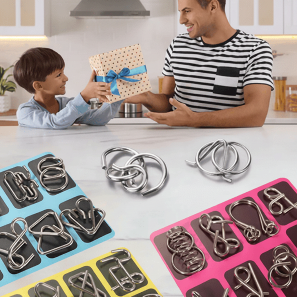 24-Piece Metal Wire Puzzle Set – Brain Teaser IQ Toy